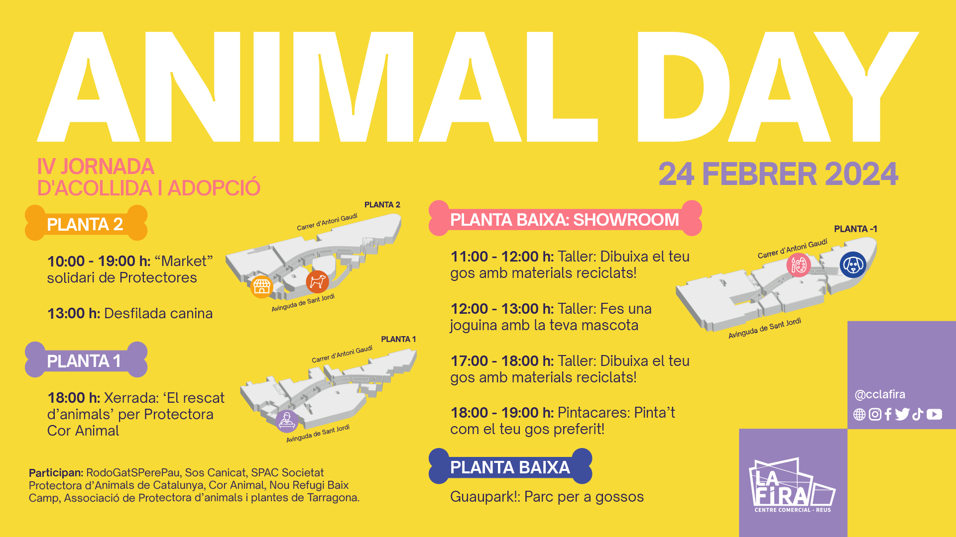 Adopció animal day